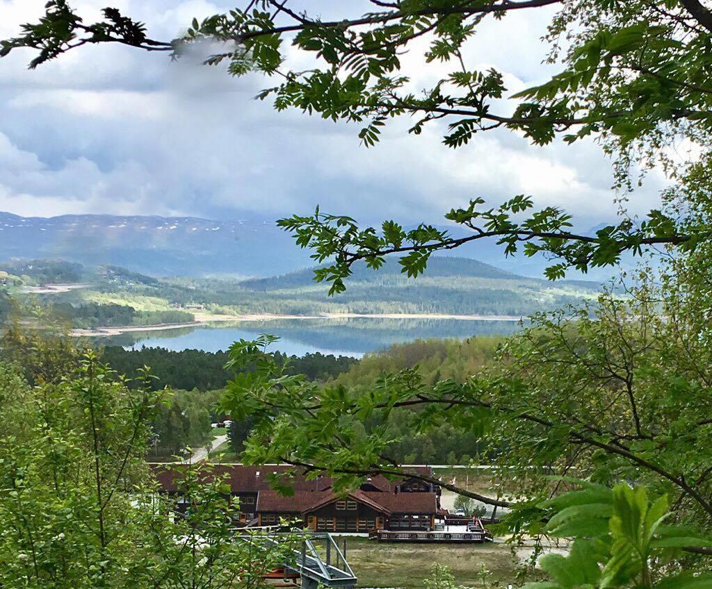 Raulandsfjell Aparthotel Bagian luar foto